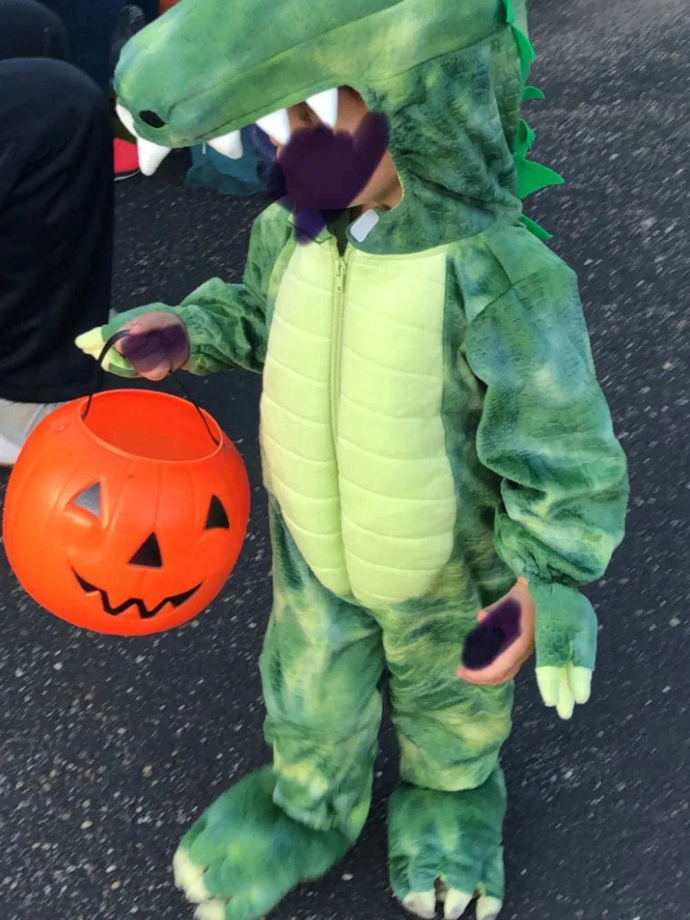 N/A cute alligator